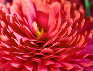 Similar image 531670