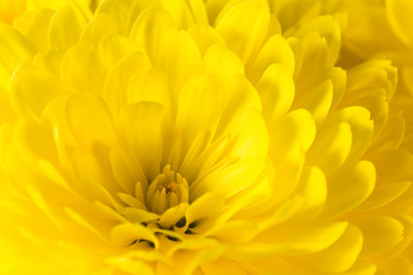 Similar image 531680