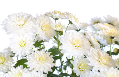 Similar image 531682