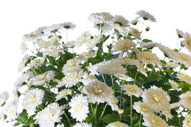 Similar image 531688