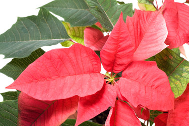 Similar image 531697