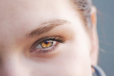 Similar image 531739