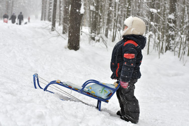 Similar image 531765