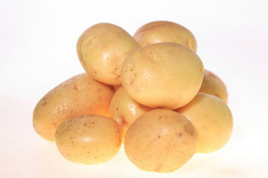 Similar image 531831