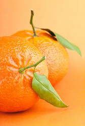 Similar image 531980