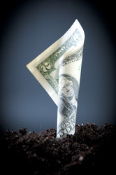 Similar image 531986