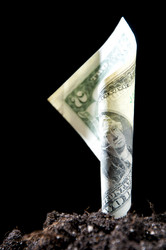 Similar image 531990