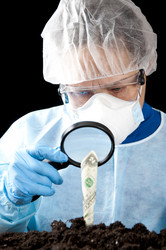 Similar image 531991