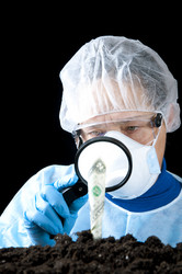 Similar image 531992