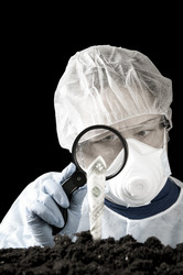 Similar image 531996