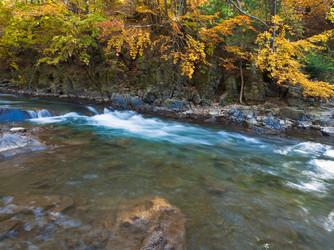 Similar image 532034