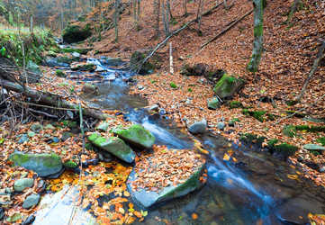 Similar image 532039