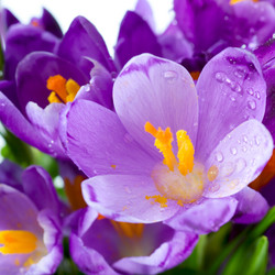 Similar image 532162