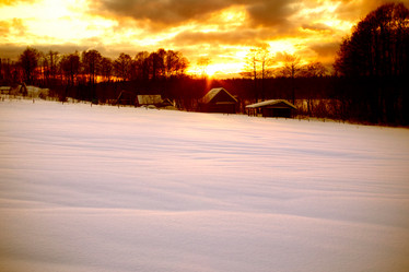 Similar image 532421