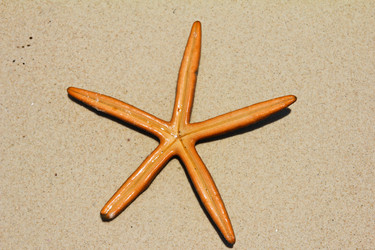 Similar image 532432