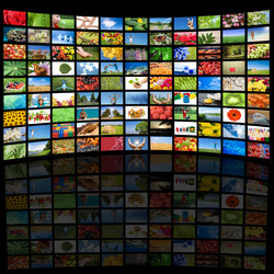 Similar image 532489