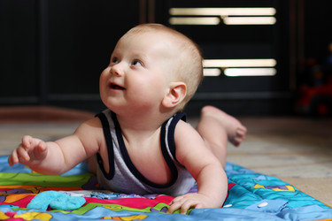 Similar image 532600