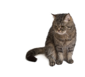 Similar image 532732