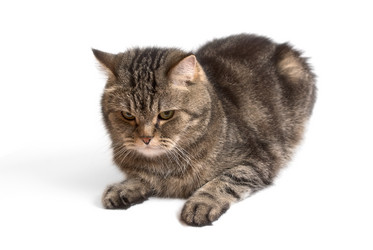 Similar image 532760