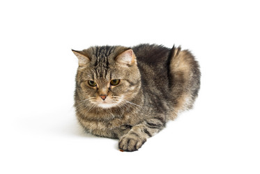 Similar image 532763