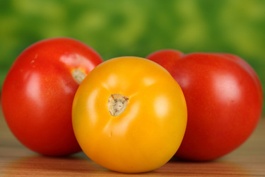 Similar image 532788