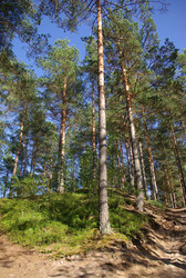 Similar image 532863