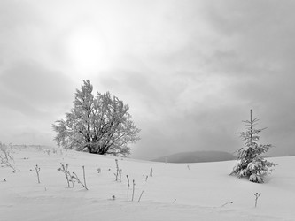 Similar image 532951