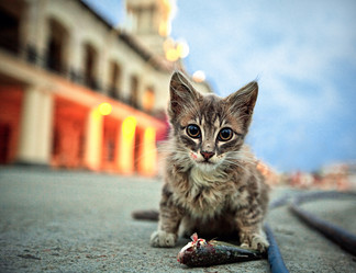 Similar image 533105