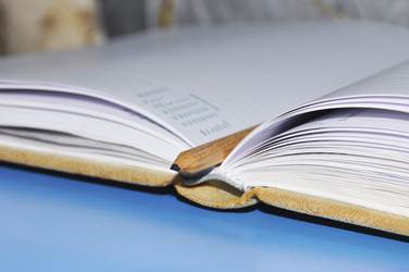 Similar image 533411