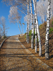 Similar image 533482