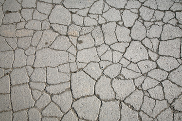 Similar image 533531