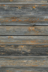 Similar image 533566