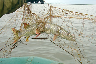 Similar image 533588