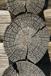 Similar image 533590