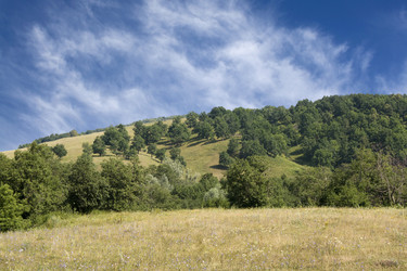 Similar image 533594