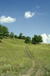 Similar image 533597