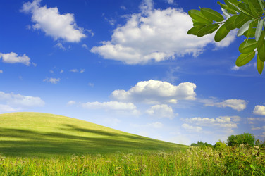 Similar image 533607