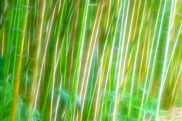 Similar image 533628