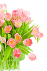 Similar image 533639