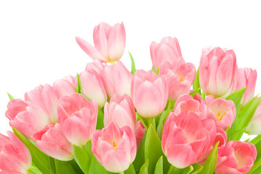 Similar image 533644