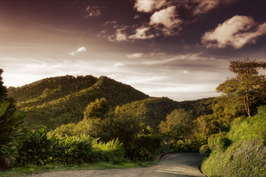 Similar image 533648