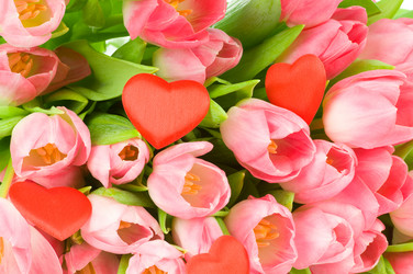 Similar image 533650