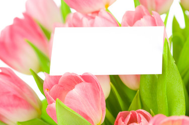 Similar image 533661