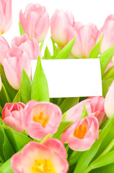 Similar image 533660