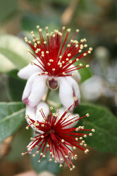 Similar image 533840