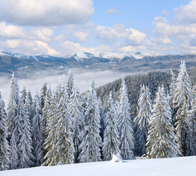 Similar image 533859