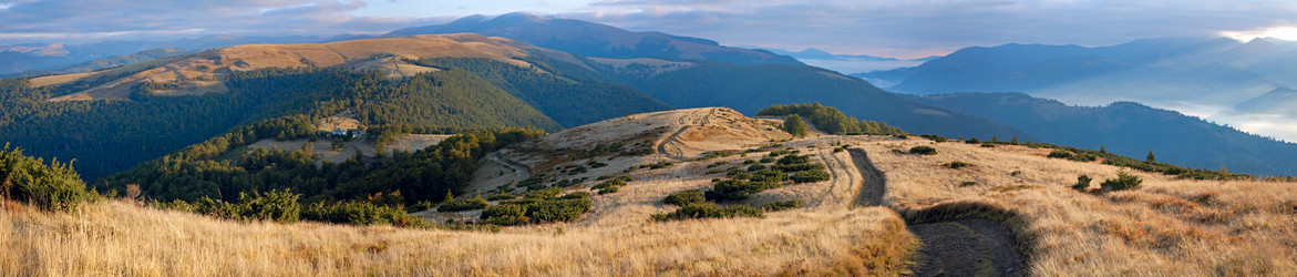 Similar image 533870