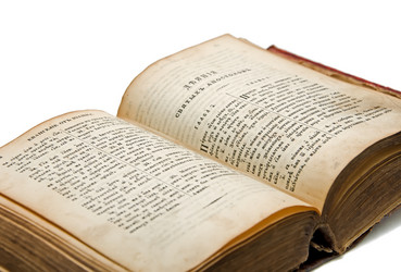 Similar image 533944