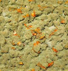 Similar image 533987