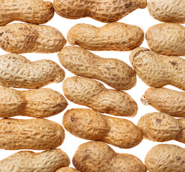 Similar image 534031